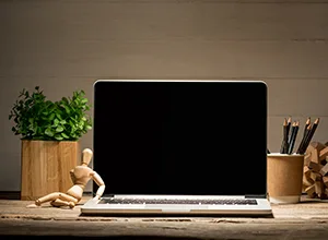 More News - kaiyun13
